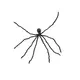 Täuschend echte Riesenspinne-Bild-1