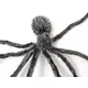Täuschend echte Riesenspinne-Bild-3