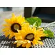 Sonnenblume mit langem Stiel-Bild-8