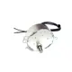  Motor 220/240V 2,5RPM 4W LED H2O RGB (TYM50)-Bild-2