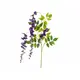 Wisteria twig, perfect for every interior decoration-Bild-1