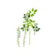 Wisteria twig, perfect for every interior decoration-Bild-1