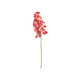 Orchid twig-Bild-1