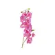Branche d'orchidée-Bild-2