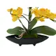 Orchid arrangement with pot-Bild-3
