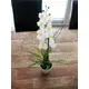 Orchidea in vaso decorativo-Bild-5