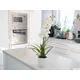 Orchidea in vaso decorativo-Bild-9