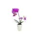 Orchid in decorative pot-Bild-1