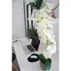 Orchidee mit cremefarbenen Blüten im Natursteinoptik-Dekotopf-Bild-6