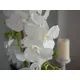 Orchidée aux fleurs blanches dans un pot décoratif imitation pierre naturelle-Bild-9