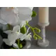Orchidée aux fleurs blanches dans un pot décoratif imitation pierre naturelle-Bild-10