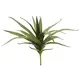 Aloe plant with soft-touch leaves - looks lifelike-Bild-1