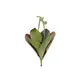 Water lily bud with soft-touch leaves - floatable-Bild-1