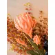 Delicate dahlia with long stem-Bild-8