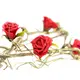 Rose garland-Bild-2