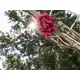 Rose garland-Bild-5