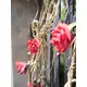 Rose garland-Bild-14