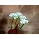 White hydrangea branches with LEDs-Bild-5