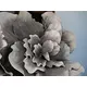 Giant flower with bendable soft-touch petals-Bild-3