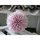 Succulent ball with soft-touch leaves-Bild-4