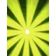 PRO LED scanner with LUMINUS SST-90 LED-Bild-17