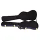 Case for E-bass-Bild-2