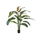 Vibrant exotic beauty with a natural appearance-Bild-1