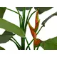 Vibrant exotic beauty with a natural appearance-Bild-3