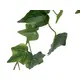 Natürliche Akzente für kreative Begrünung-Bild-3