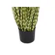 Decorative ornamental grass featuring uniquely patterned leaves-Bild-3