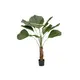 Exotic touches for sophisticated interior spaces-Bild-1