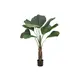 Exotic touches for sophisticated interior spaces-Bild-2