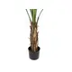 Exotic touches for sophisticated interior spaces-Bild-4