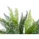 Natürliche Frische für vielseitige Dekorationen-Bild-2
