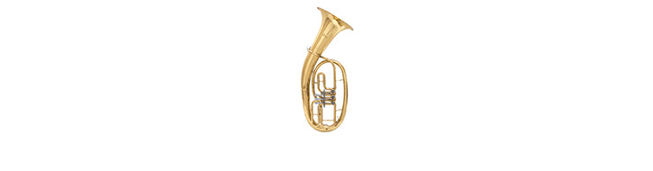 Tenor horns