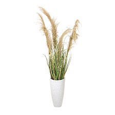 Link_Vrilles et graminées