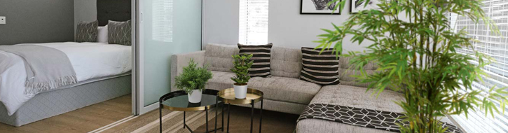 plants for hotel rooms and  holiday apartments