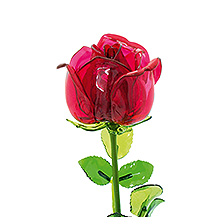 Link_Plantes de cristal