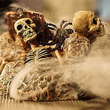 Link_Décoration d'Halloween